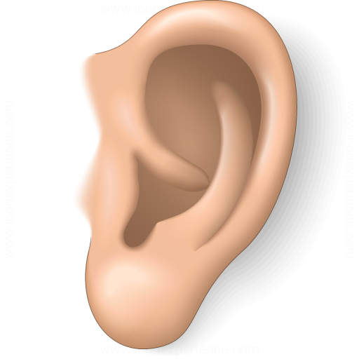 Ear Surgeries