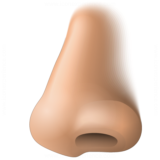 Nose Surgeries