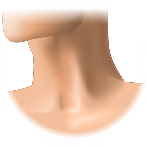 Throat Surgeries
