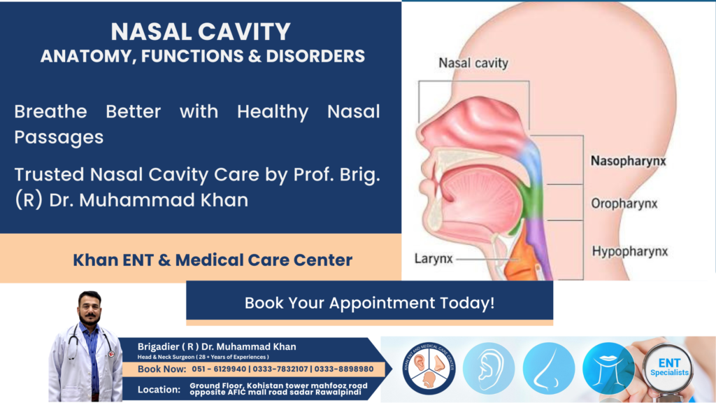 Nasal Cavity