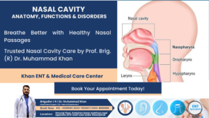 Nasal Cavity