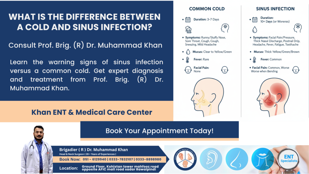 What is the difference between a cold and sinus infection