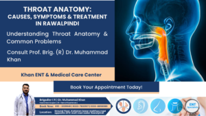 Throat Anatomy Causes, Symptoms & Treatment